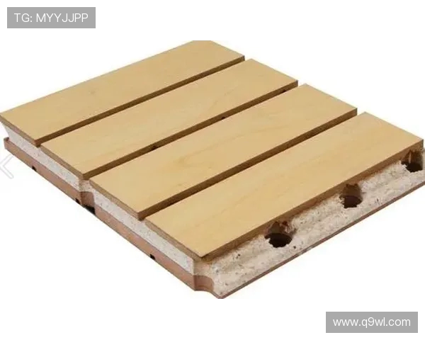 飞机客舱侧壁板的吸音特性评估